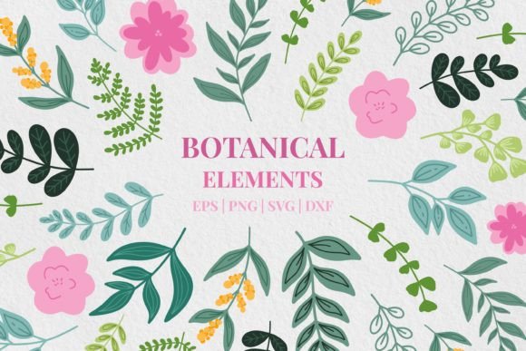 Floral Clipart Set: Graphics & Decorative Elements