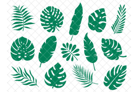 Tropical Leaves Svg: Graphics for Decorative Elements