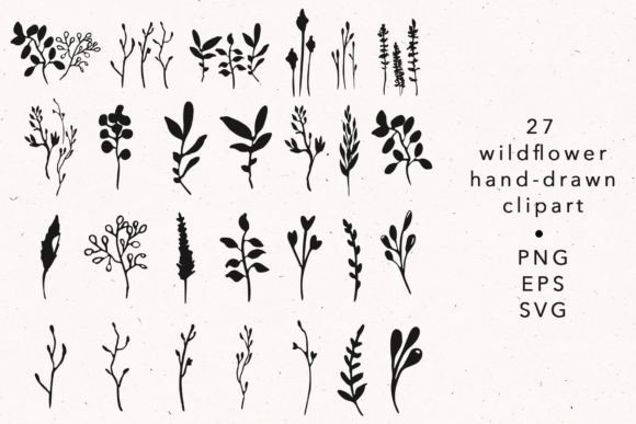 Wildflower & Herbal Botanical SVG Graphics